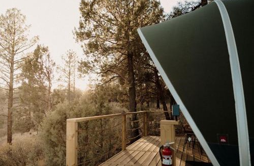 McIntosh Other | Starry Skies & Fresh Air Glamping Escape