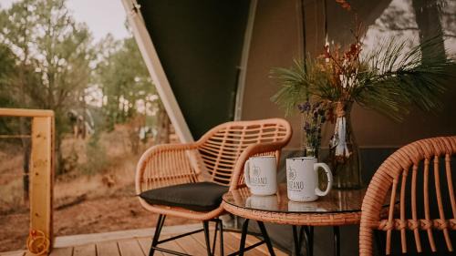 McIntosh Other | Starry Skies Glamping Escape