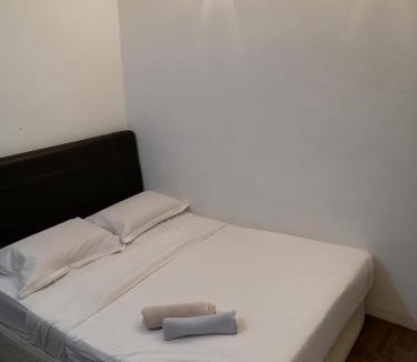 Taman Istana House | StarVilla Kinta River Front Medan Istana