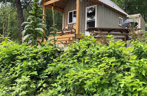 Hammondsport Cabin | STARWOOD - ROMANTIC - OFF GRID - WINE TRAIL CABIN - Pet Friendly! 4 Seasons