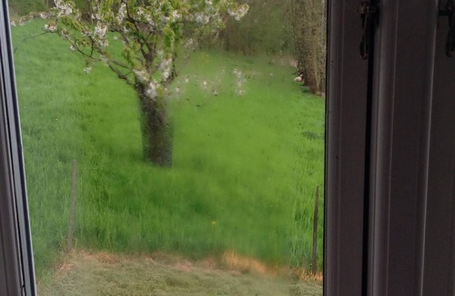Vejstrup Cottage | Stay idyllically at the old watermill and lake.