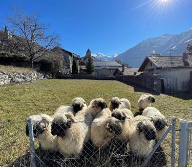 Leuk Apartment | Stay in the Heart of Wallis
