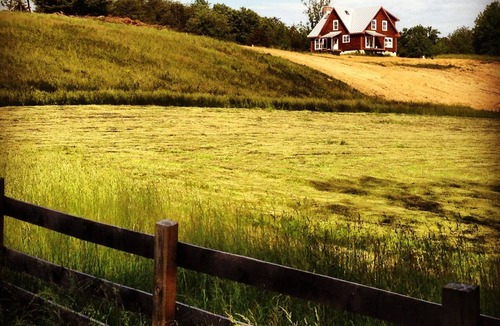 Ridge House | Stay on Working Farm in Central VA Wine Region, 35 Minutes from UVA.