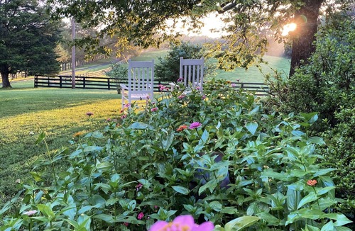 Ridge House | Stay on Working Farm in Central VA Wine Region, 35 Minutes from UVA.