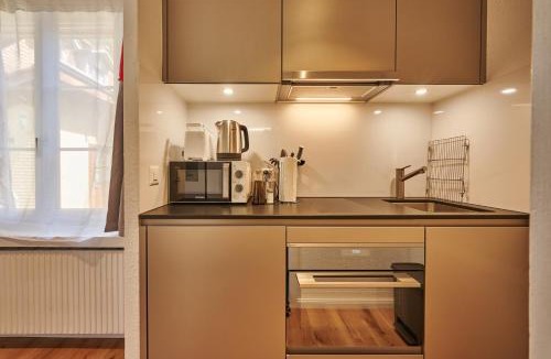 Unterseen Apartment | Stay Switzerland Hotel and Apartments