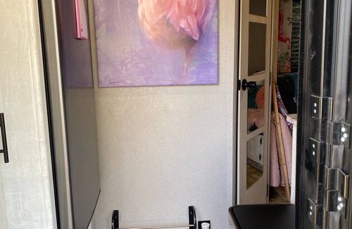 Southeastern Sacramento House | Stay while RV Flamingo Clamping🦩