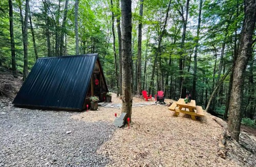Sidney Cabin | Stay Wild - Upscale Glamping in NY