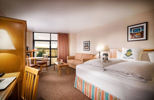 University District Hotel | Staypineapple, University Inn, University District Seattle