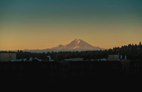 University District Hotel | Staypineapple, Watertown Hotel, University District Seattle