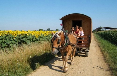 Ecleux Other | STAYS IN ROULOTTE WITH HORSE "DISCOVERY OF THE VAL OF LOVE" AND ROOMS D HOTES