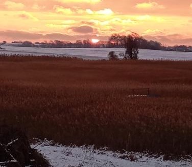 Stege Hotel | Stege Nor