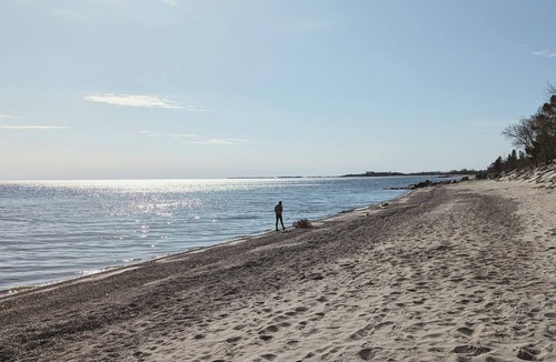 St. Andrews Cabin | Steps from the Shore, Modern Beachy Getaway