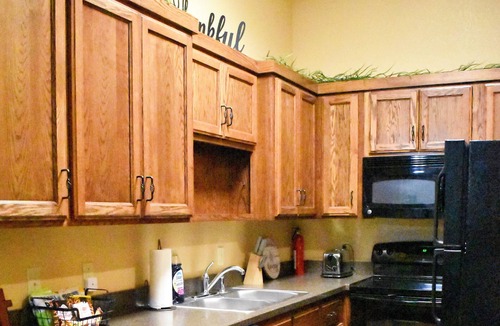 Neosho Apartment | Steps to the Square! Walk to Coffee, Dining, & Big Spring Park