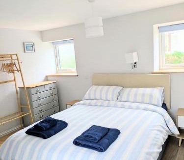 The Lizard House | Sterennyk