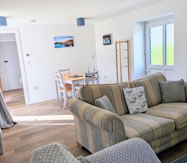 The Lizard House | Sterennyk