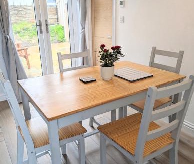 The Lizard House | Sterennyk