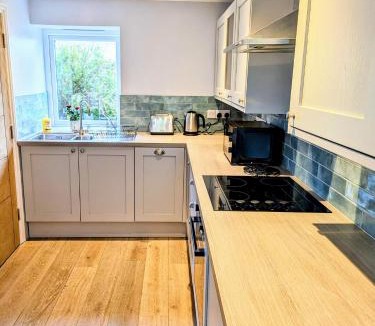 The Lizard House | Sterennyk