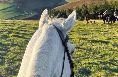 Cornhill on Tweed Cottage | Stewards Bothy - UK48303