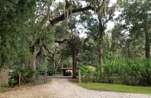 Homosassa House | Stilt home close to MacRaes, city dock, Wild Life Park.