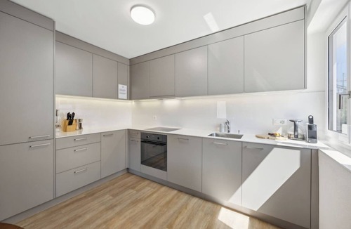 Oerlikon Apartment | Stilvolle Wohnung in Zürich Oerlikon! (202)
