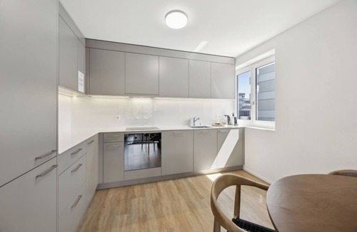 Oerlikon Apartment | Stilvolle Wohnung in Zürich Oerlikon! (202)
