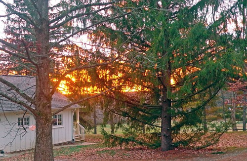 Granville Cottage | Stobbs Cottage - Extraordinary Rural Granville Cottage with generous amenities.