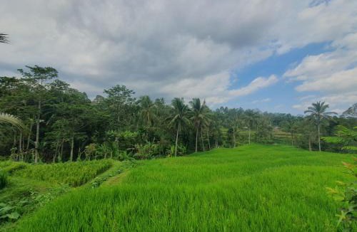 Aik Berik Bed & Breakfast | Stokel Cottage