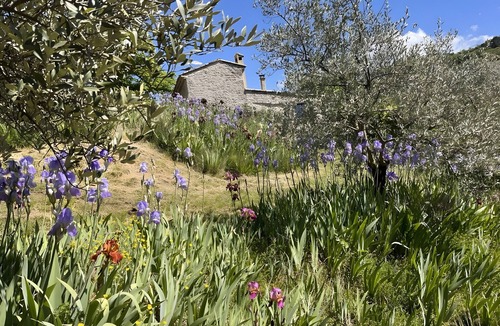 Sainte-Euphemie-sur-Ouveze House | Stone House with Private Pool and Panoramic Valley View