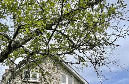 Lafontaine Cottage | Stone Cottage 5 minute walk to beach