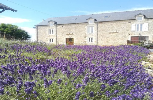 Sainte-Marguerite-d'Elle House | Stone cottage with garden