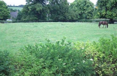 Sulgrave Bed & Breakfast | Stone House Bed and Breakfast