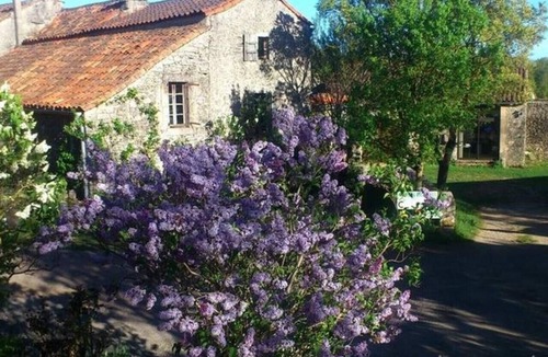 Vissec House | Stone house in the heart of Larzac – Nature, free-roaming horses, and guaranteed relaxation