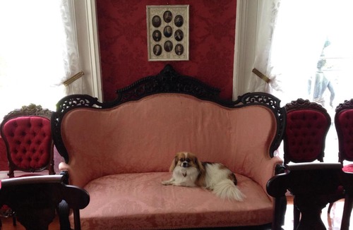 Natchez Bed & Breakfast | Stone House Musical B&B