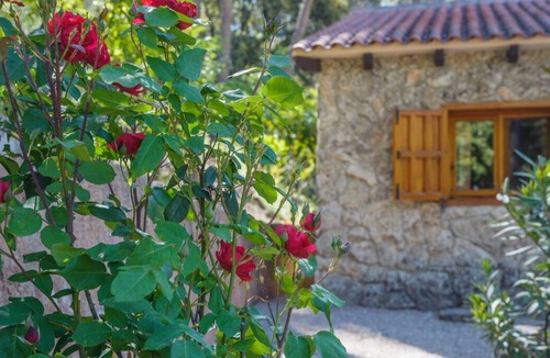 Yeste House | Stone house nº1 for 4 people, Batan Rio Tus