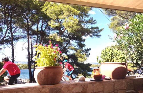 Island Hvar Apartment | Stone Villa Hvar Ana & Nikola Villas