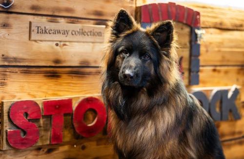 Chepstow House | Stonerock Lodge