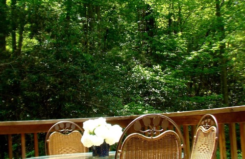 Robbinsville Cabin | Stoney Hollow Farm Cabin