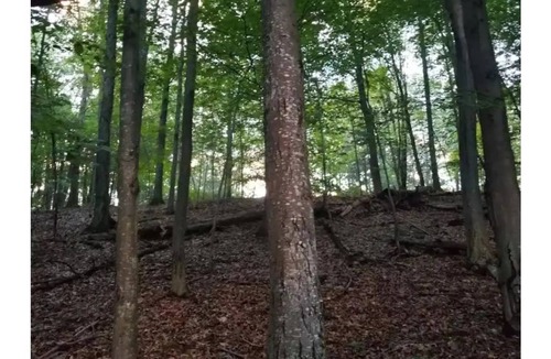 Pine Bush House | Stopover! at Boulder Point Campground Retro