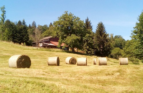 Bussang Apartment | Stopover. Bussenette