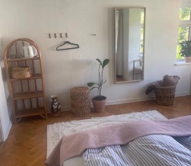 Odense House | Stort værelse udlejes i herskabslejlighed midt i Odense by