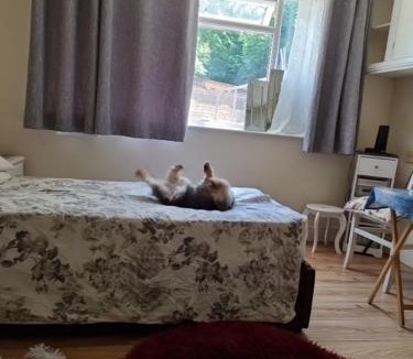 Luton Apartment | Strangers Way