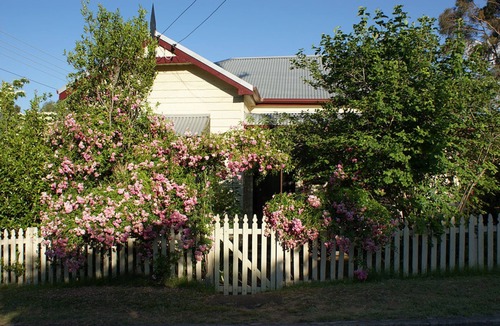 Mount Victoria Cottage | Stratford Cottage Mount Victoria