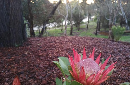 Strathalbyn Apartment | Strathalbyn Cottages