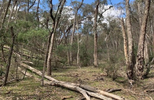 Carcalgong House | Streams and Dreams - Mudgee Region