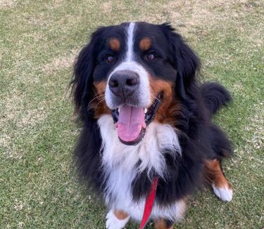 Strath Creek House | Stringybark, Halls on Falls Homestead