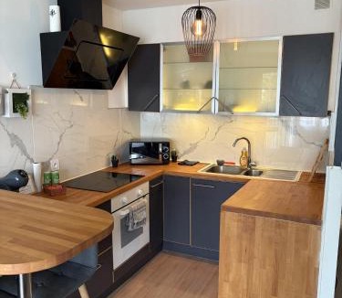 Gaillard Apartment | Studio à Gaillard