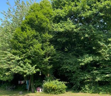 Bouloire House | Studio à la campagne