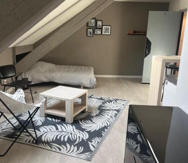 Belfort Apartment | Studio, étage 3, spacieux refait à neuf