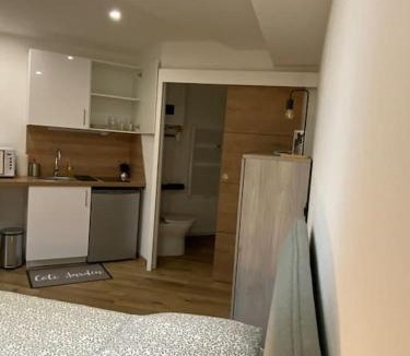 Ile Verte Apartment | Studio Île-Verte entièrement rénové - Proche tram