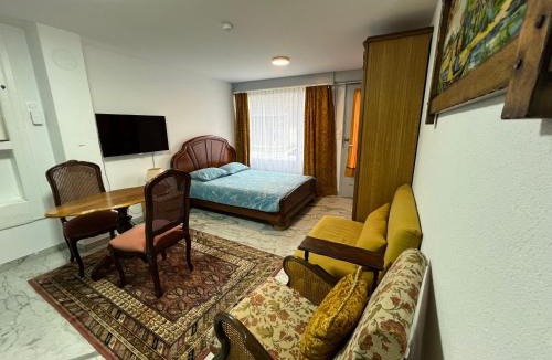 Oltingue Apartment | Studio 1 room 25 sqf